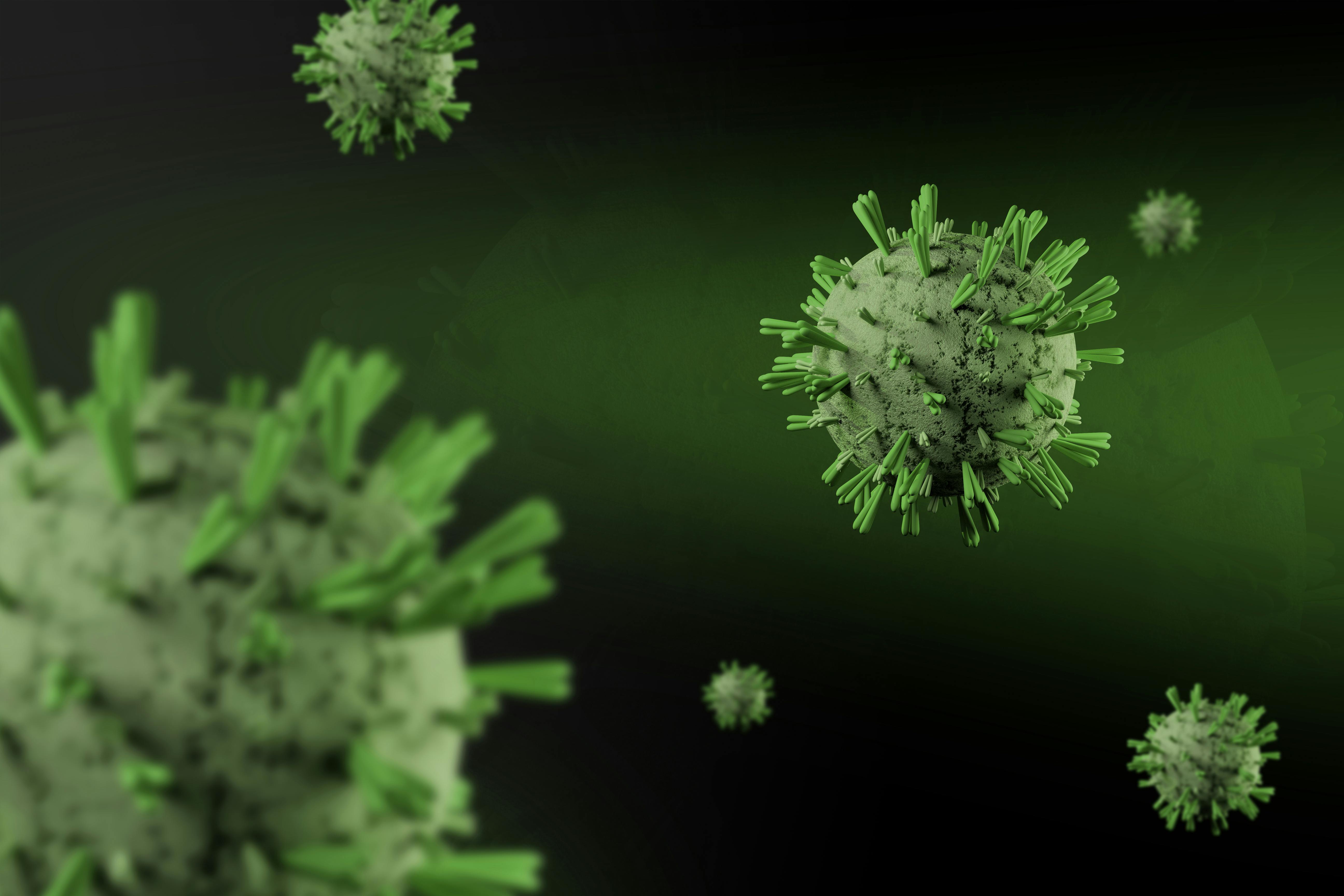 Les compagnies aériennes vont-elles lancer des protocoles contre l’hantavirus?