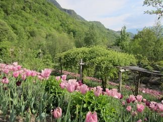 Merano et Bolzano: un cocktail séduisant au coeur du Trentin-Haut Adige